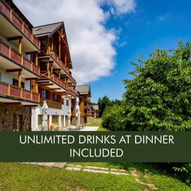 Pohorje Village Wellbeing Resort - Forest Hotel Videc, ξενοδοχείο σε Hočko Pohorje