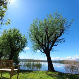 Appartamento Miralago Varese Lakefront and Garden, готель у місті Гавірате