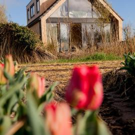 Ecohome Storm 8personen en baby Zeezand Recreatie