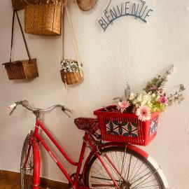 Le petit velo rouge, hotel in Arles