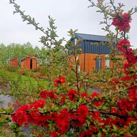 Pigwowcowe Zacisze, hotel in Grabowa