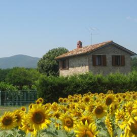 Agriturismo gli Arrighi - Cà di Giulia، فندق في Casella