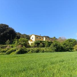 Mas Pitre, viešbutis mieste Besalu