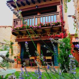 La Galiana loft nature, hotel in Casarejos