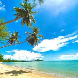 Lipa Lodge Beach Resort, хотел в Липа Ной