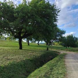 Agriturismo Campo alla Cantina appartamento Ginestra, hotel i Gavorrano