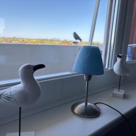 Tief 10 Abendsonne mit Internet 508, ξενοδοχείο σε Wangerland