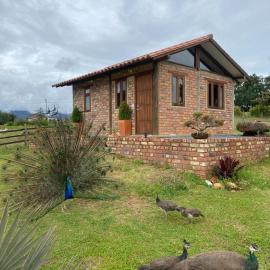 Cabaña lagovilla