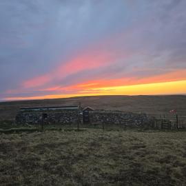 Squealing Pig Bothy, hotelli kohteessa Bragor