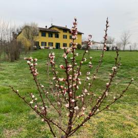 Sangiligio Countryside Villa, Private Rooms w Kitchen, Bath, Private Entrance, Crema