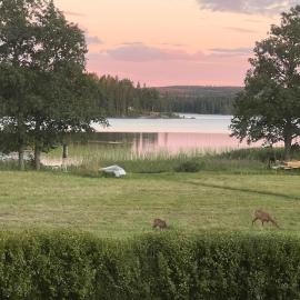 Underbar sjöutsikt nära bad och fiske, hotel v destinaci Frövetterstorp