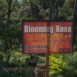 Blooming Rose Homestay, Hotel in Ohiya
