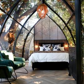 De Nest - Clear Glass Tree Cabin, hotel din Montagu