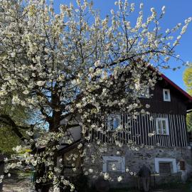 Vila Adélka - útulná chalupa v Krkonoších, hotell sihtkohas Horní Maršov