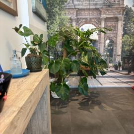Enjoy Garden - Flavio Baracchini 9 - Rooms، فندق في ميلانو