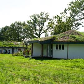 Buzzard's Nest Glamping Walnut, hotel in Chard