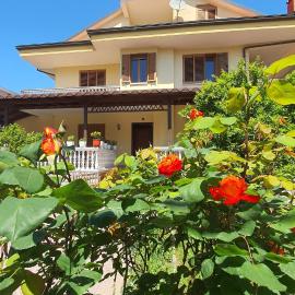 Vizion Hotel, hotel in Shkodër