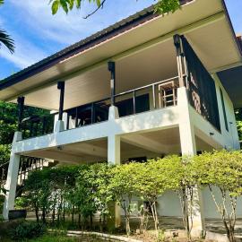 The Green Palm