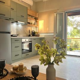 Green Studio House