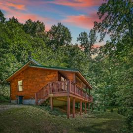 Smoky Mountains Hut Tub Cabin Dog Friendly