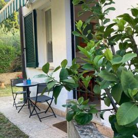 Lake Garda Apartment - La Casina di Celeste
