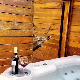 Cowboy's Trail with HotTub, King&QueenBed, in UpperCanyon, Pets welcome, Hotel in Ruidoso