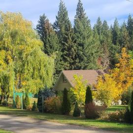 Cozy Cabin, 2 min to the HWY1, hotel in Tappen