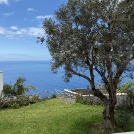 Cozy Sea View House Fajã da Ovelha