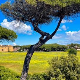 FELYX APARTMENT - Bright, Spacious, and 100 mt from the waves - Lavinio Mare, hotel em Anzio