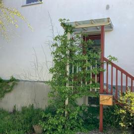 Bockholm에 위치한 호텔 Hohmann - Ferienwohnung Berglyk