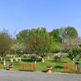 Al Budri Agriturismo，Roccabianca的飯店