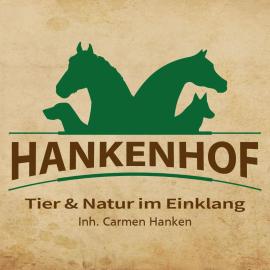 Ferienwohnungen auf dem "HANKENHOF" - 55169