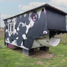 Buttercup Cow Shed 3