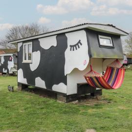 Dozy Dotty Cow Shed 4