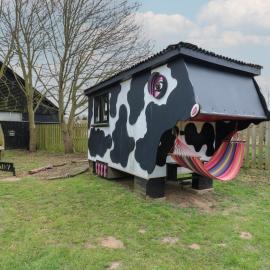Daisy Cow Shed 1