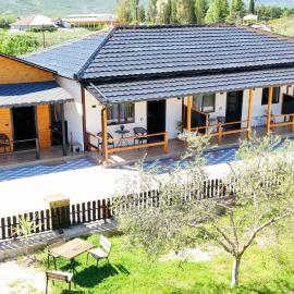 Olive Oasis Studio