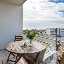 Stranddistel 4 Fernblick