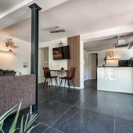 Geschäfts- und Monteurs Apartment 2 SZ
