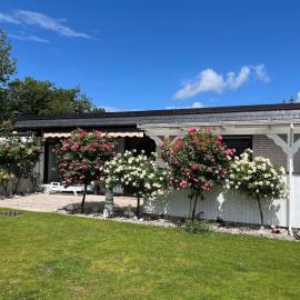 Nicölchens Ferienbude, hotell i Fehmarn