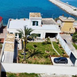 La Casa dei palmizi