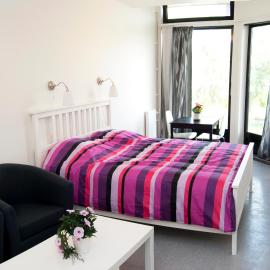 Fenix Inn, hotel a Lund