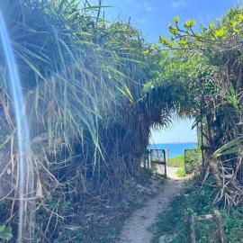 LAGUNA OKINAWA Beachfront YAKA, hotell sihtkohas Kin