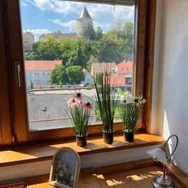 Top Lage Krems - 100m2 - 2 Schlafzimmer mit Garage