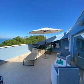 CASA BLUE DREAM