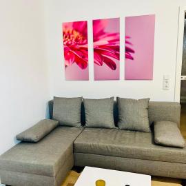 Ferienwohnung Sommerblüte โรงแรมในชไวค์