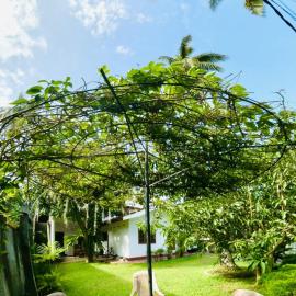 Sanithu Homestay and villa Galle, hotel in Galle