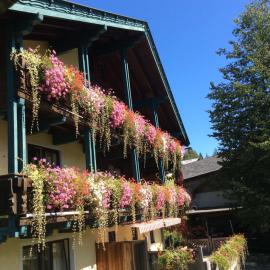 Moosbauerhof