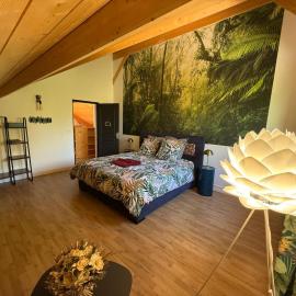 les anthocyanes CHAMBRE FORET, hotel in Champagny