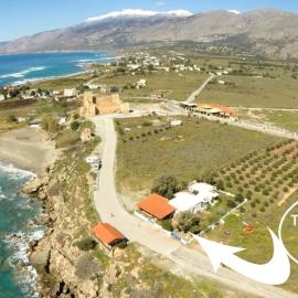 Orthi Ammos