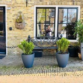My Home, hotel i Harlingen